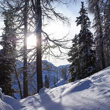 Отель Rotenthal